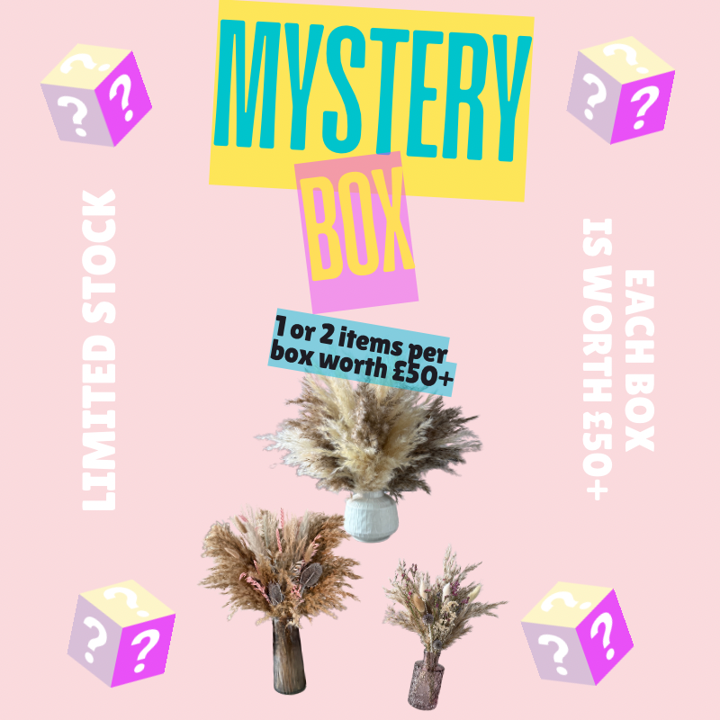Mystery box - worth £50+