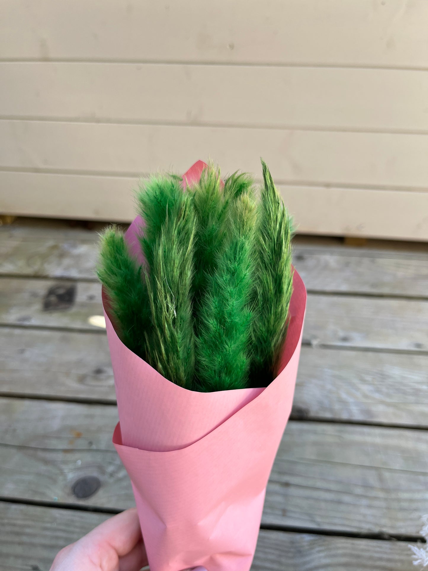 mini green pampas grass wrapped in paper