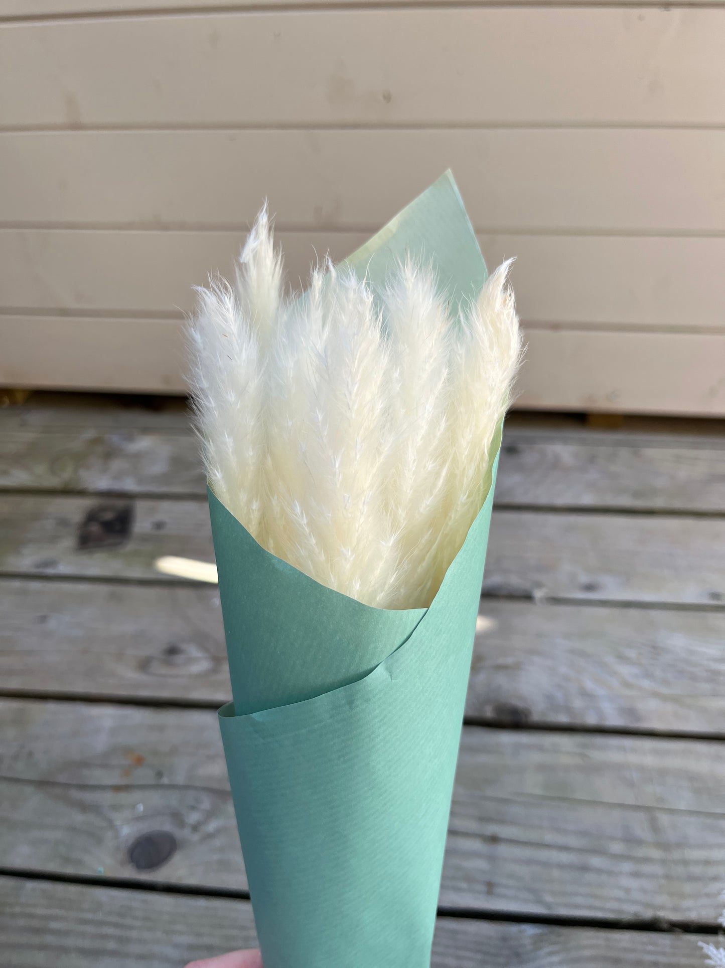 mini white pampas grass wrapped in paper