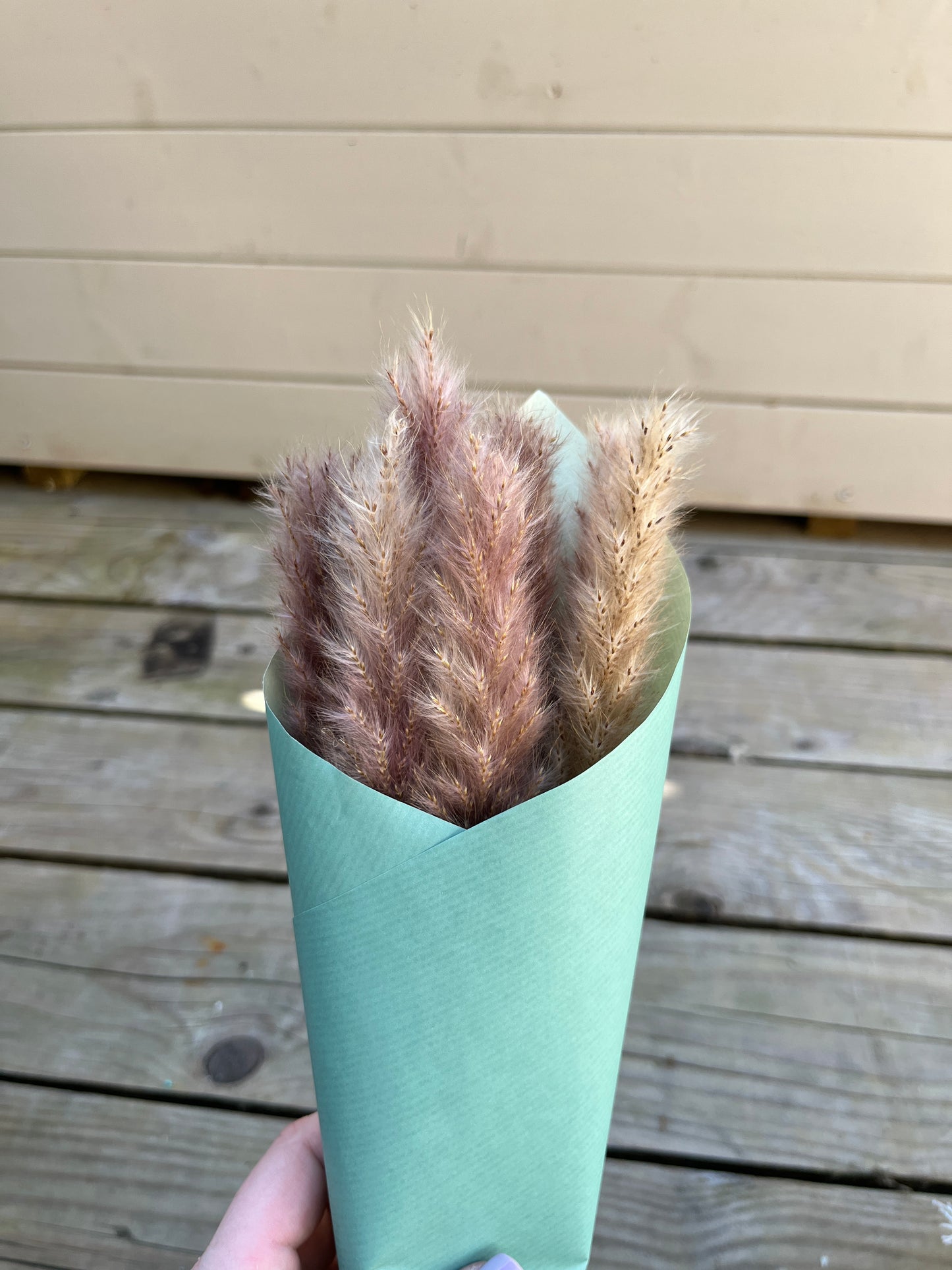 mini natural pampas grass wrapped in paper