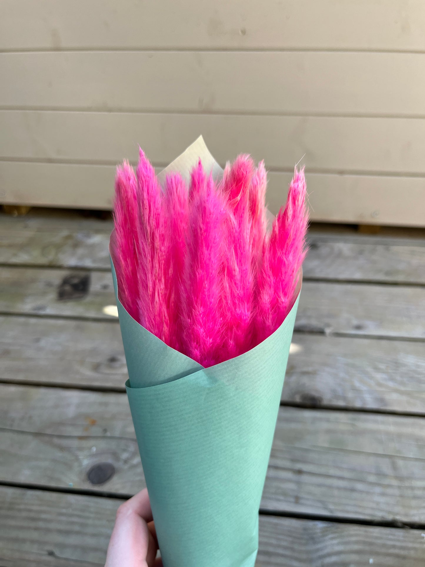 mini pink pampas grass wrapped in paper