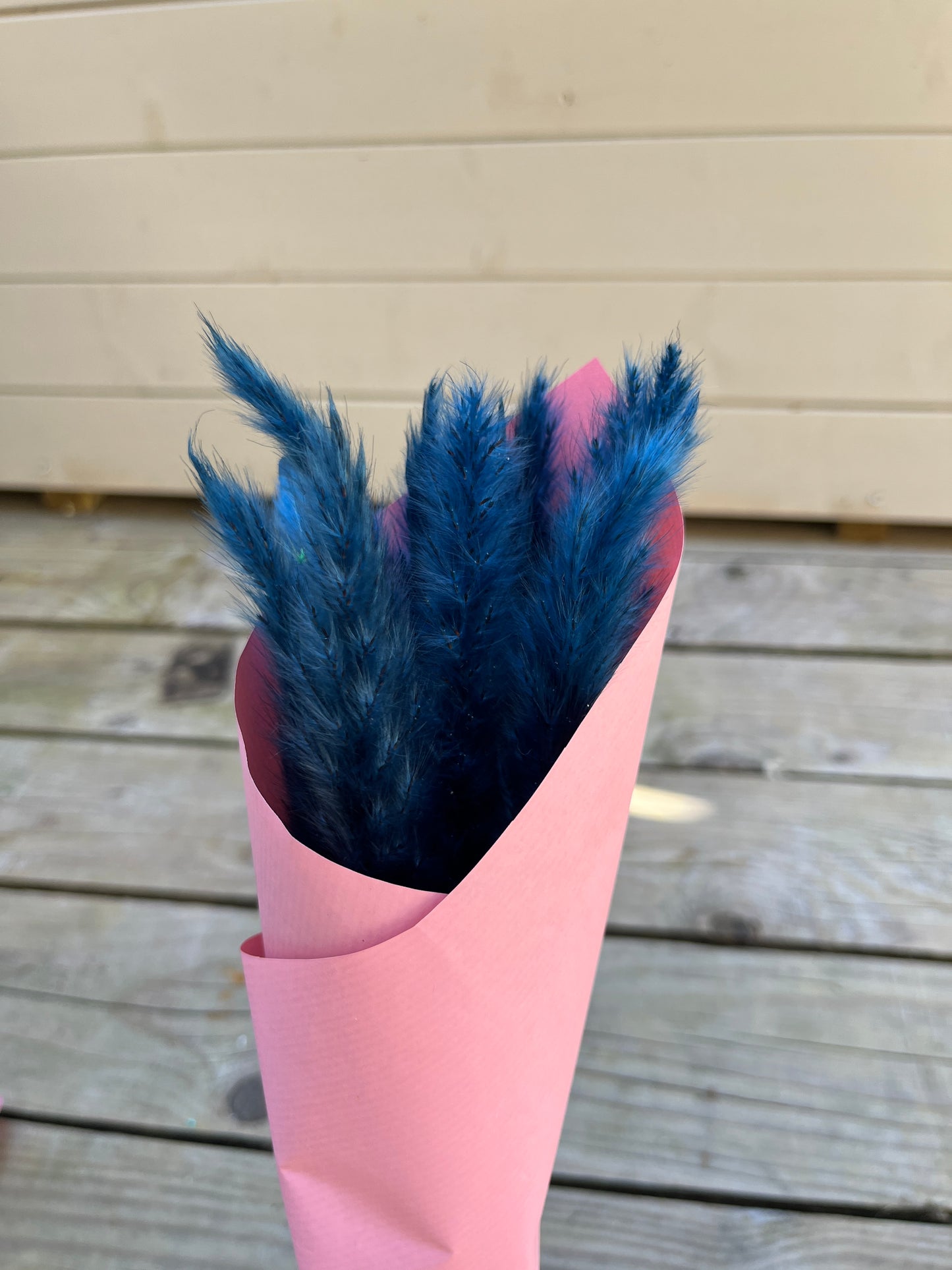 mini navy pampas grass wrapped in paper