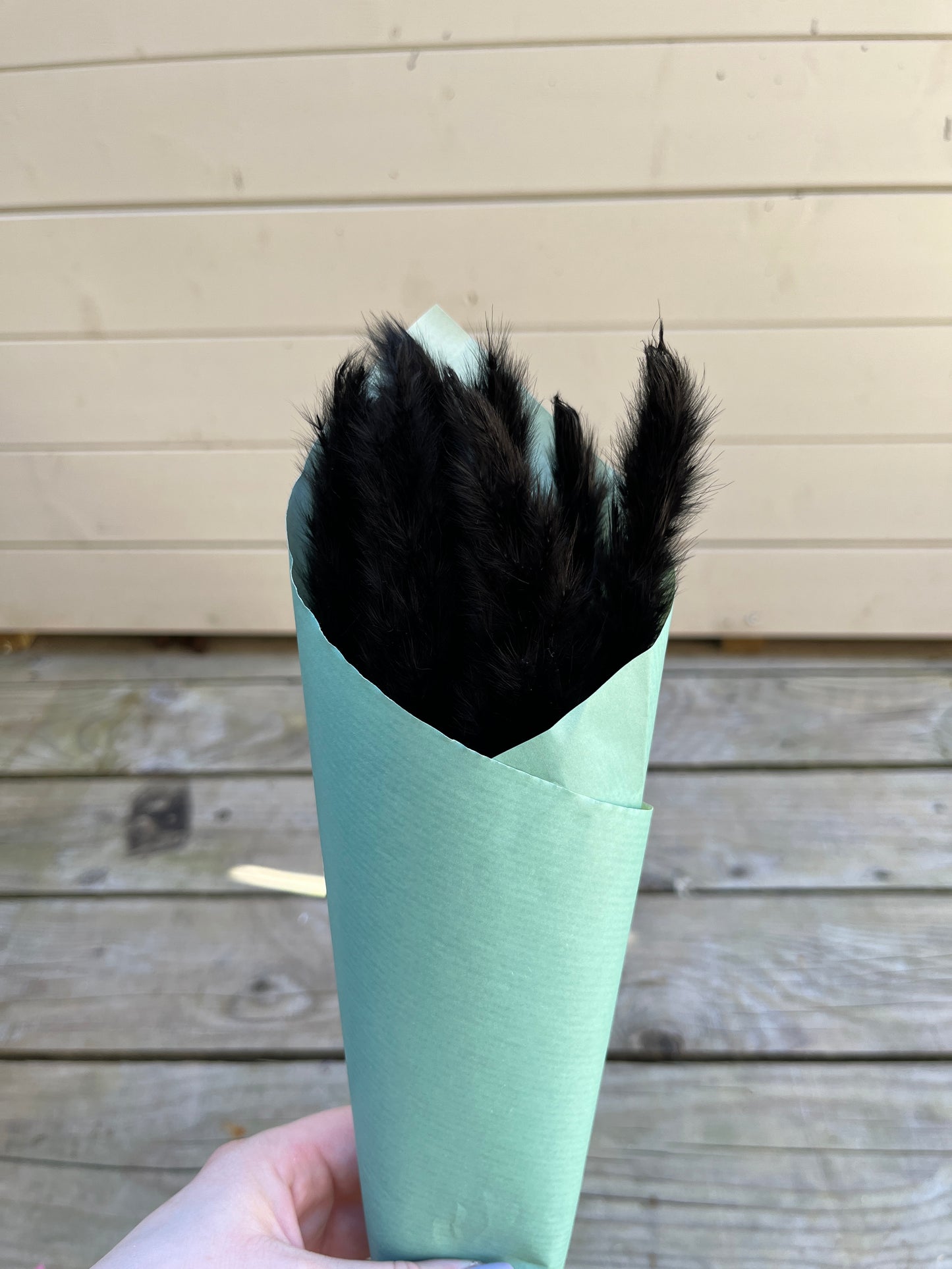 mini black pampas grass wrapped in paper