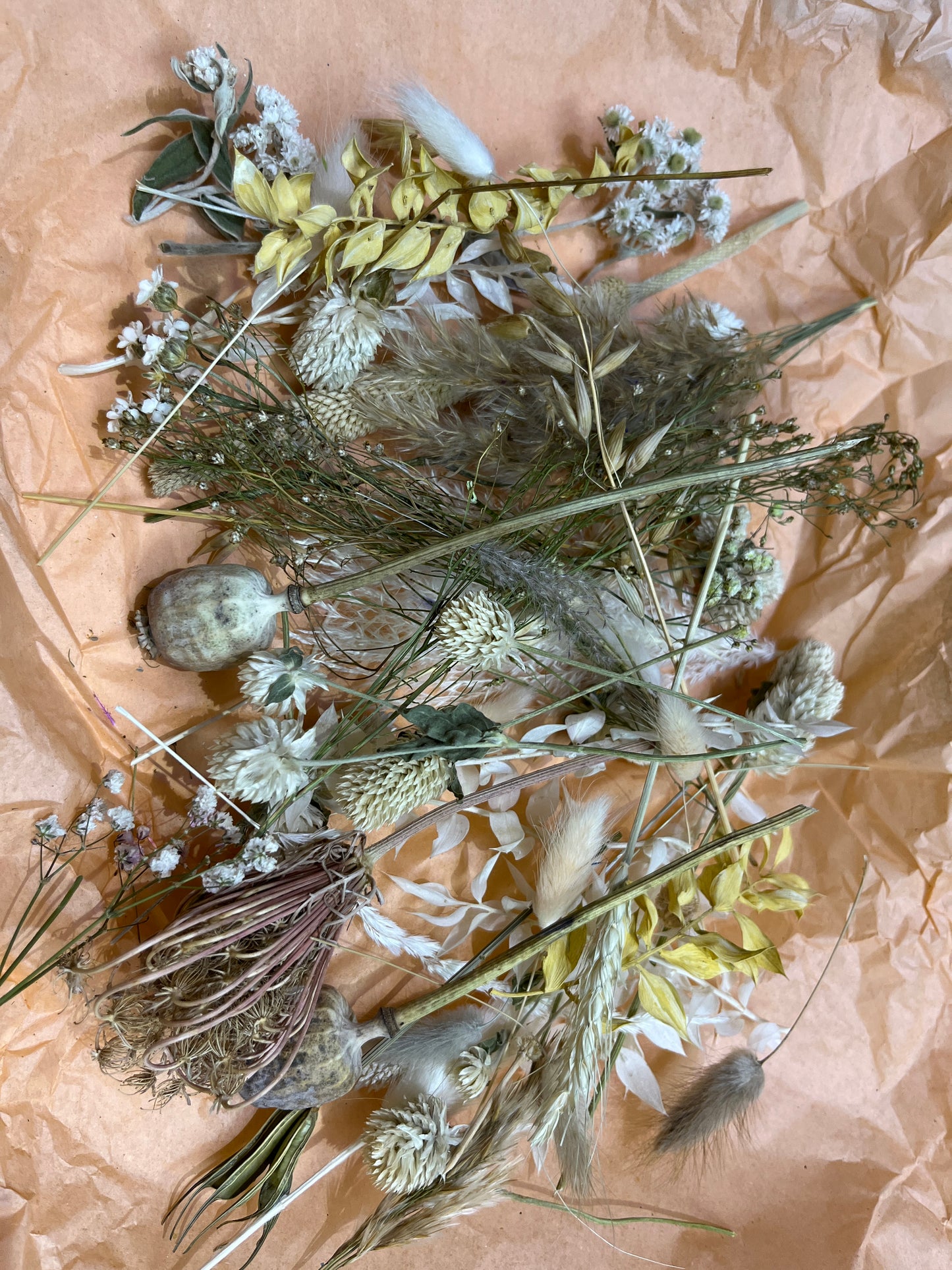 Offcut Dried Flowers