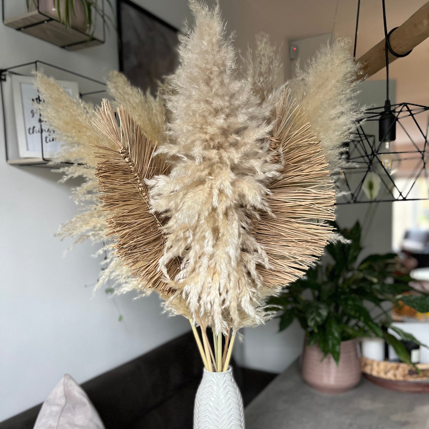 5 Stems 120cm EXTRA FLUFFY Pampas Grass - plume size approx 50- 70cm