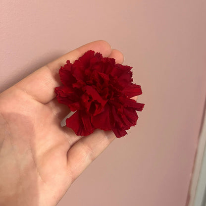 The Preserved Dried Carnation Collection