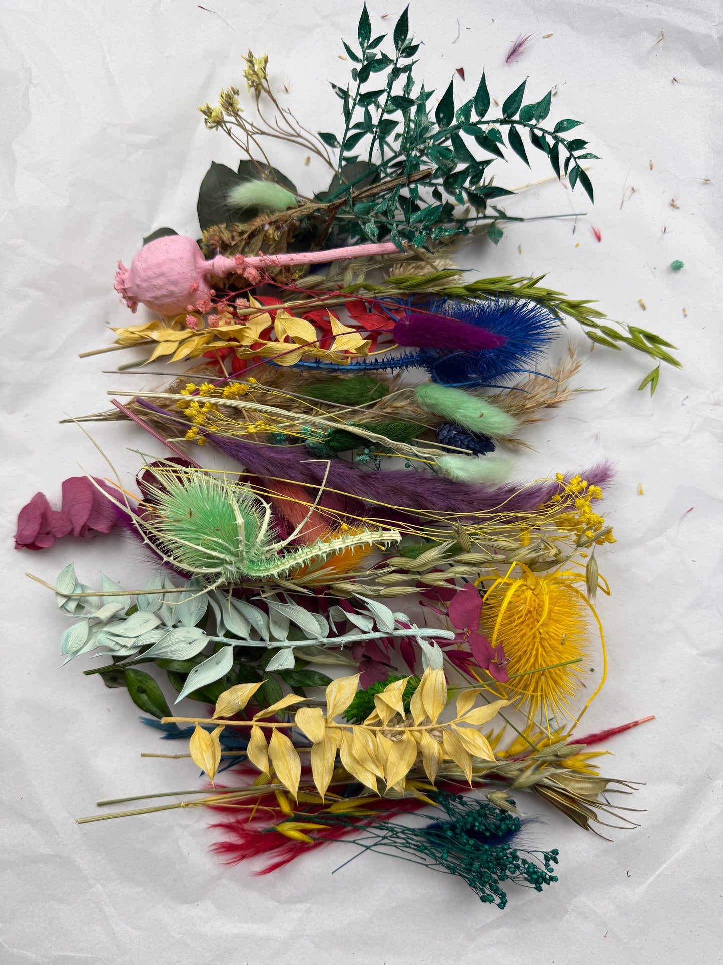 Offcut Dried Flowers