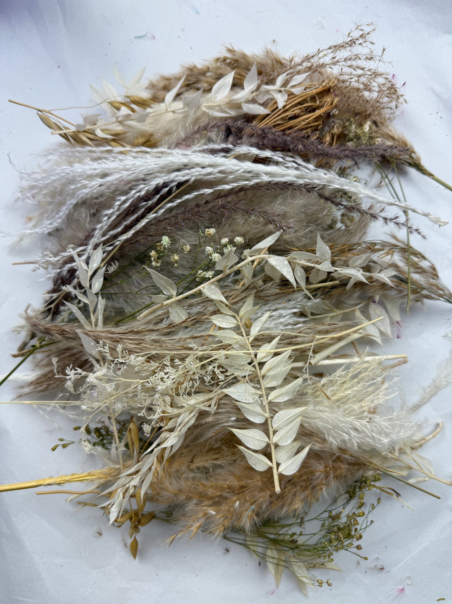 Offcut Dried Flowers