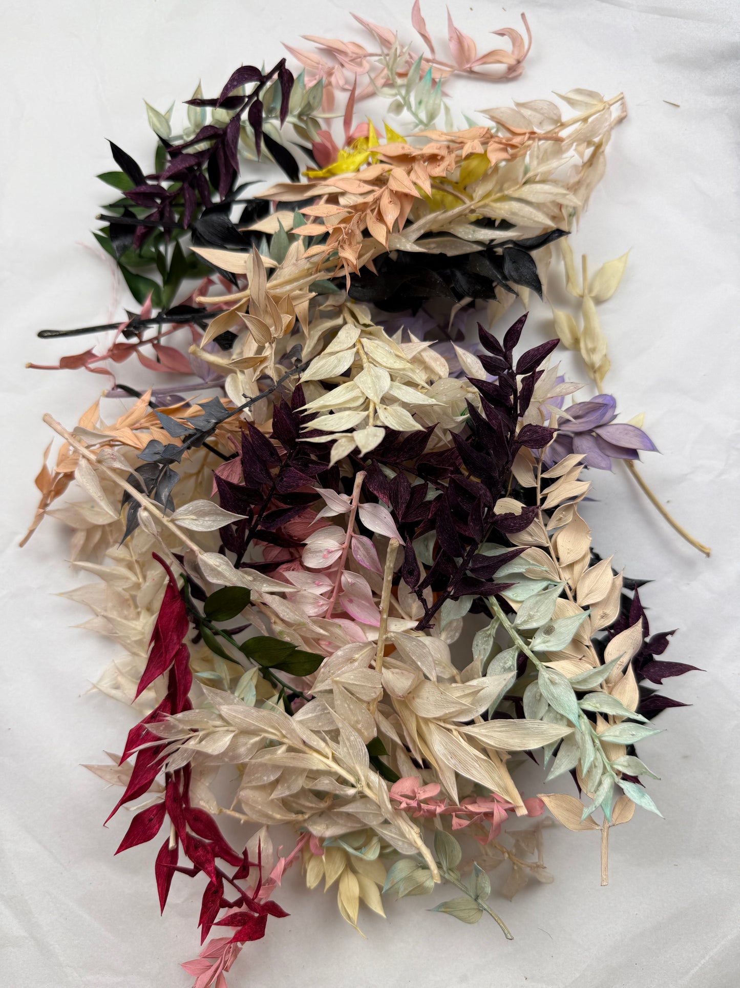 Offcut Dried Flowers