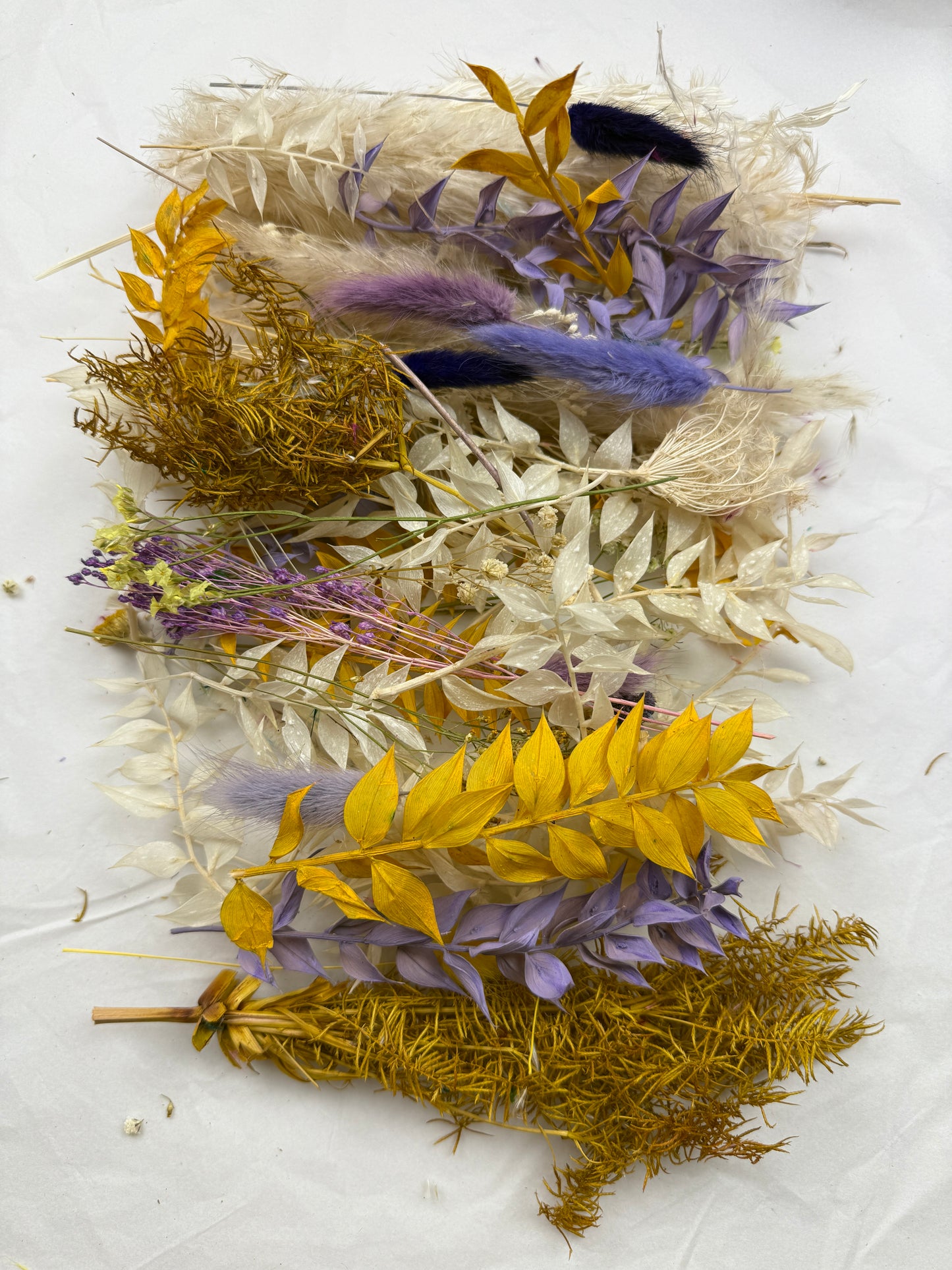 Offcut Dried Flowers