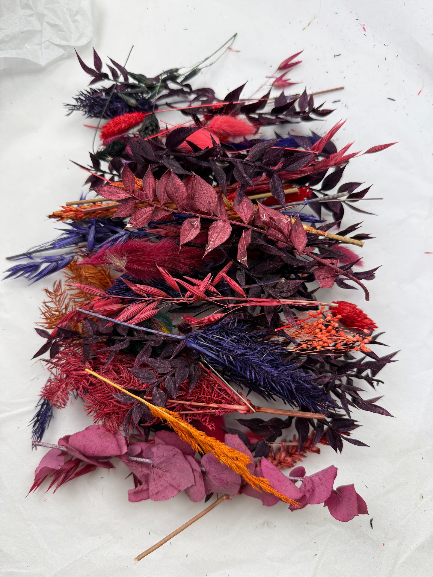 Offcut Dried Flowers