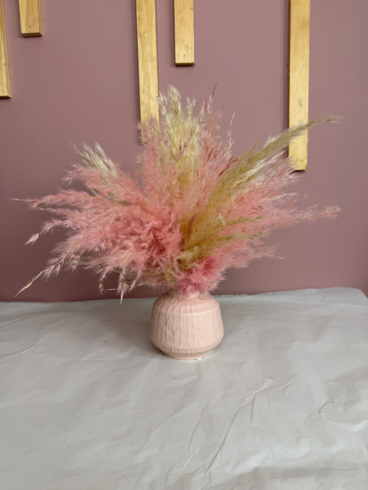 Pink And Cream Fluffy Pampas