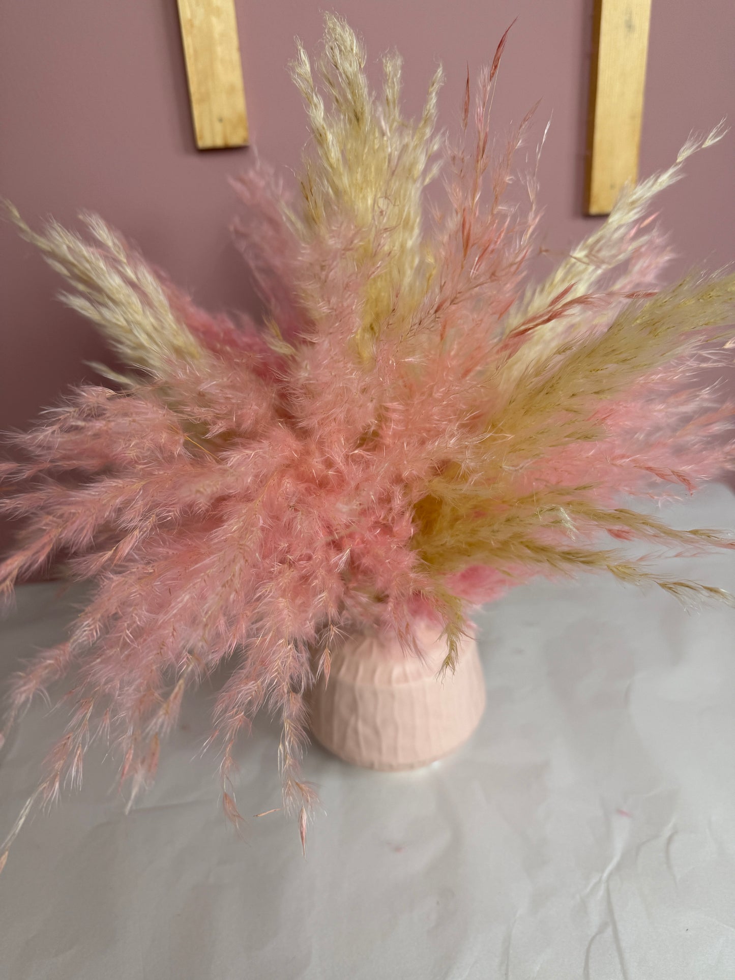 Pink And Cream Fluffy Pampas