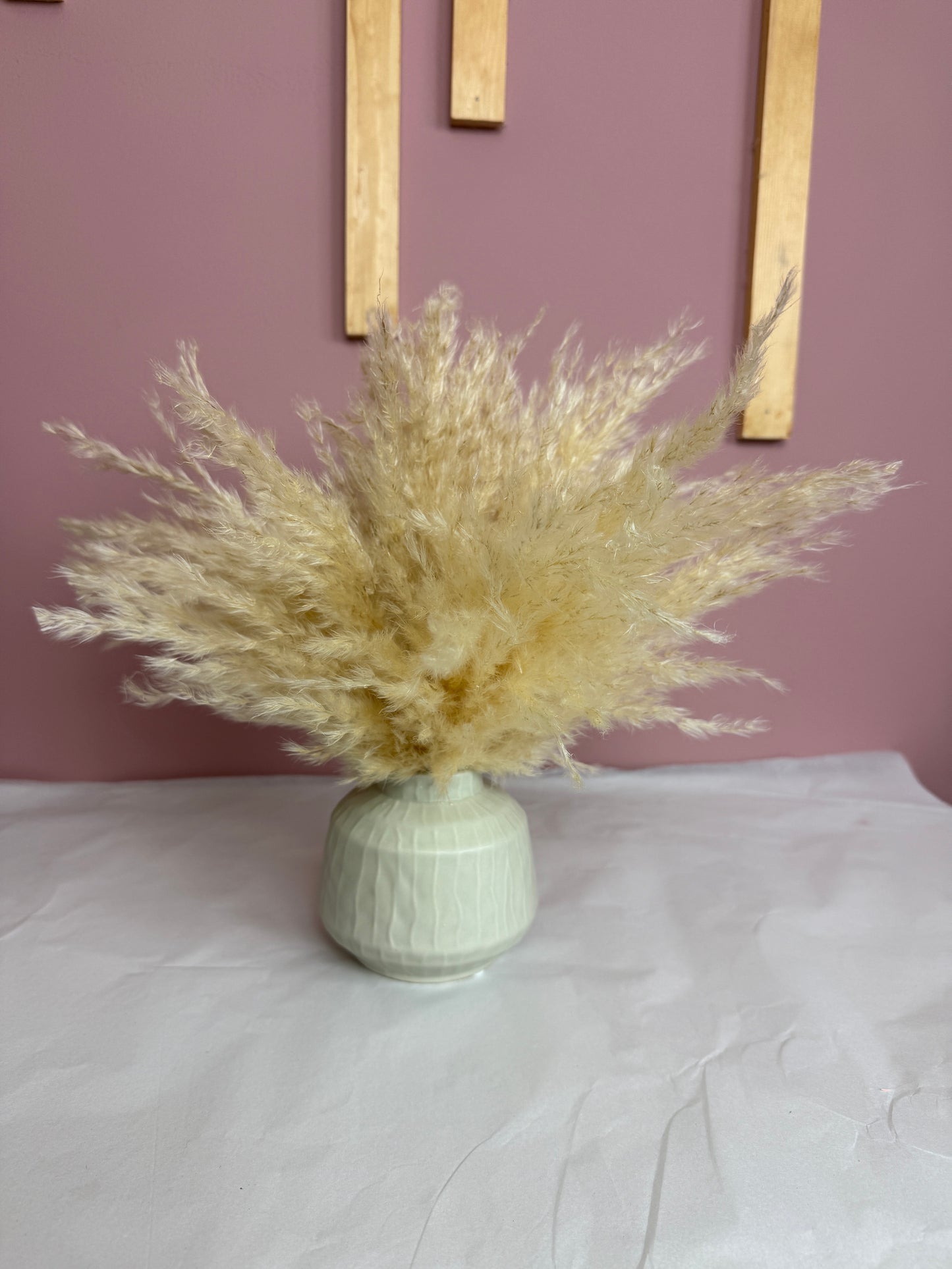 Cream Fluffy Pampas & Vase