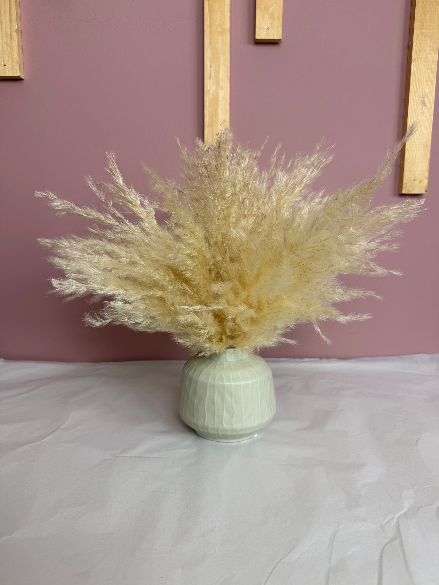 Cream Fluffy Pampas & Vase