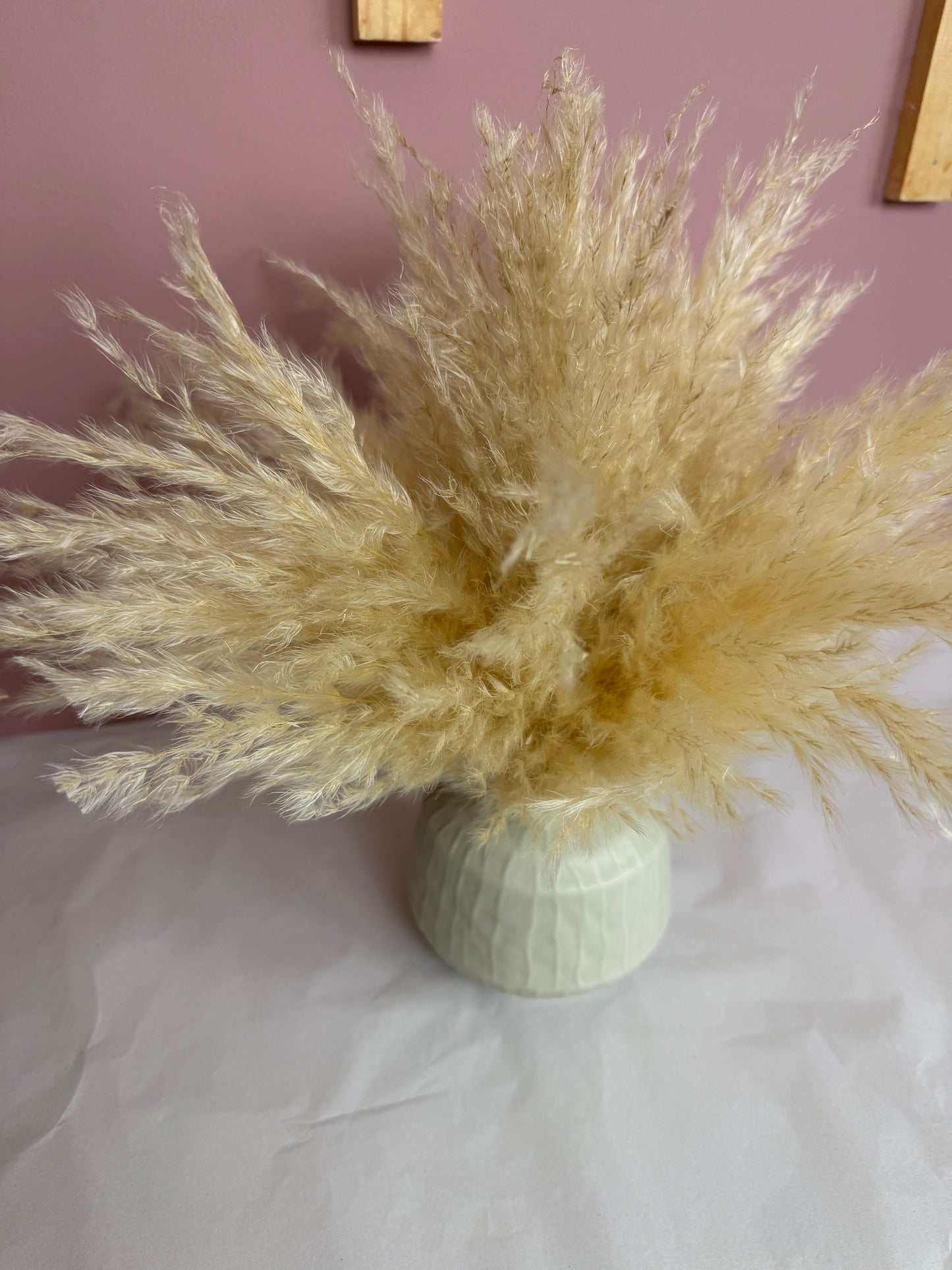 Cream Fluffy Pampas & Vase