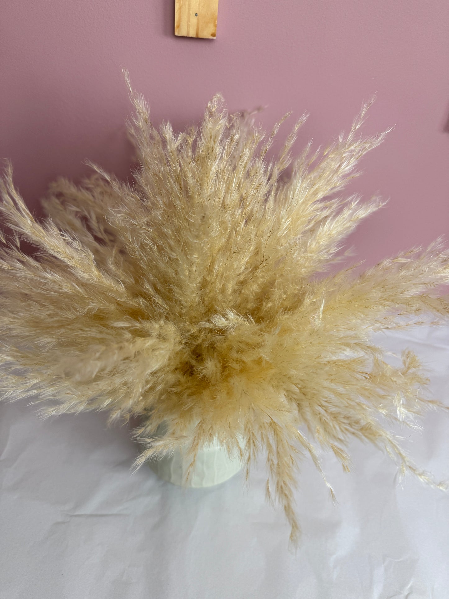 Cream Fluffy Pampas & Vase