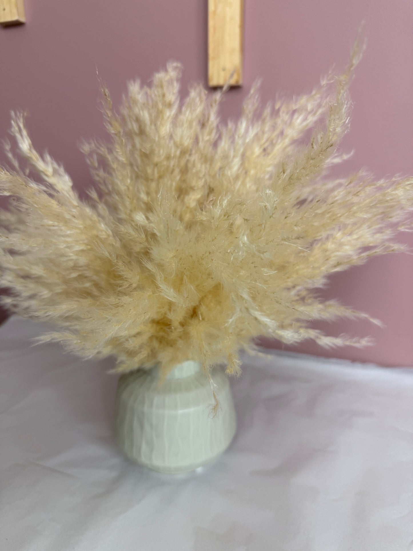 Cream Fluffy Pampas & Vase