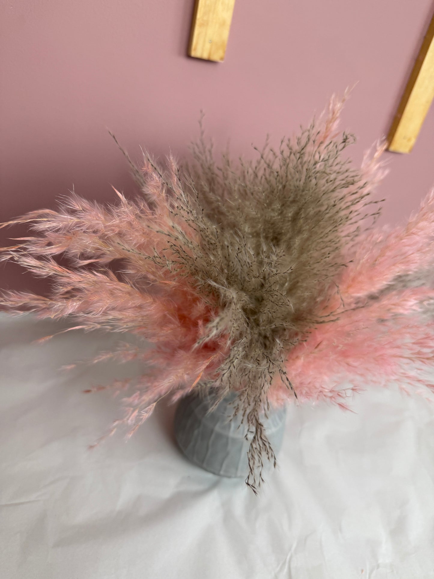 Grey And Pink Fluffy Pampas