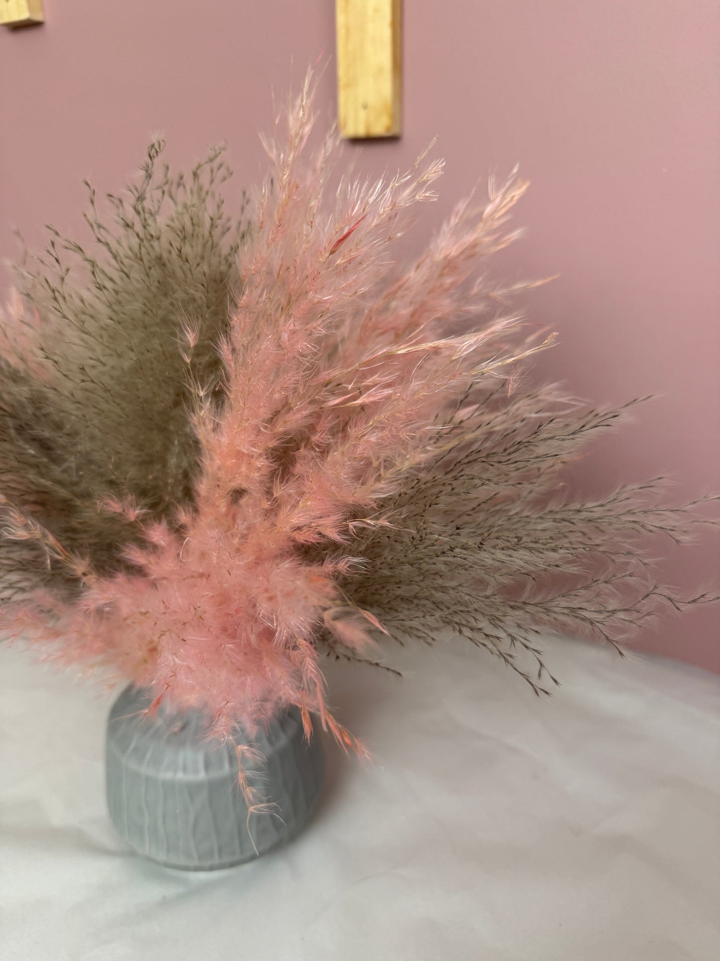 Grey And Pink Fluffy Pampas