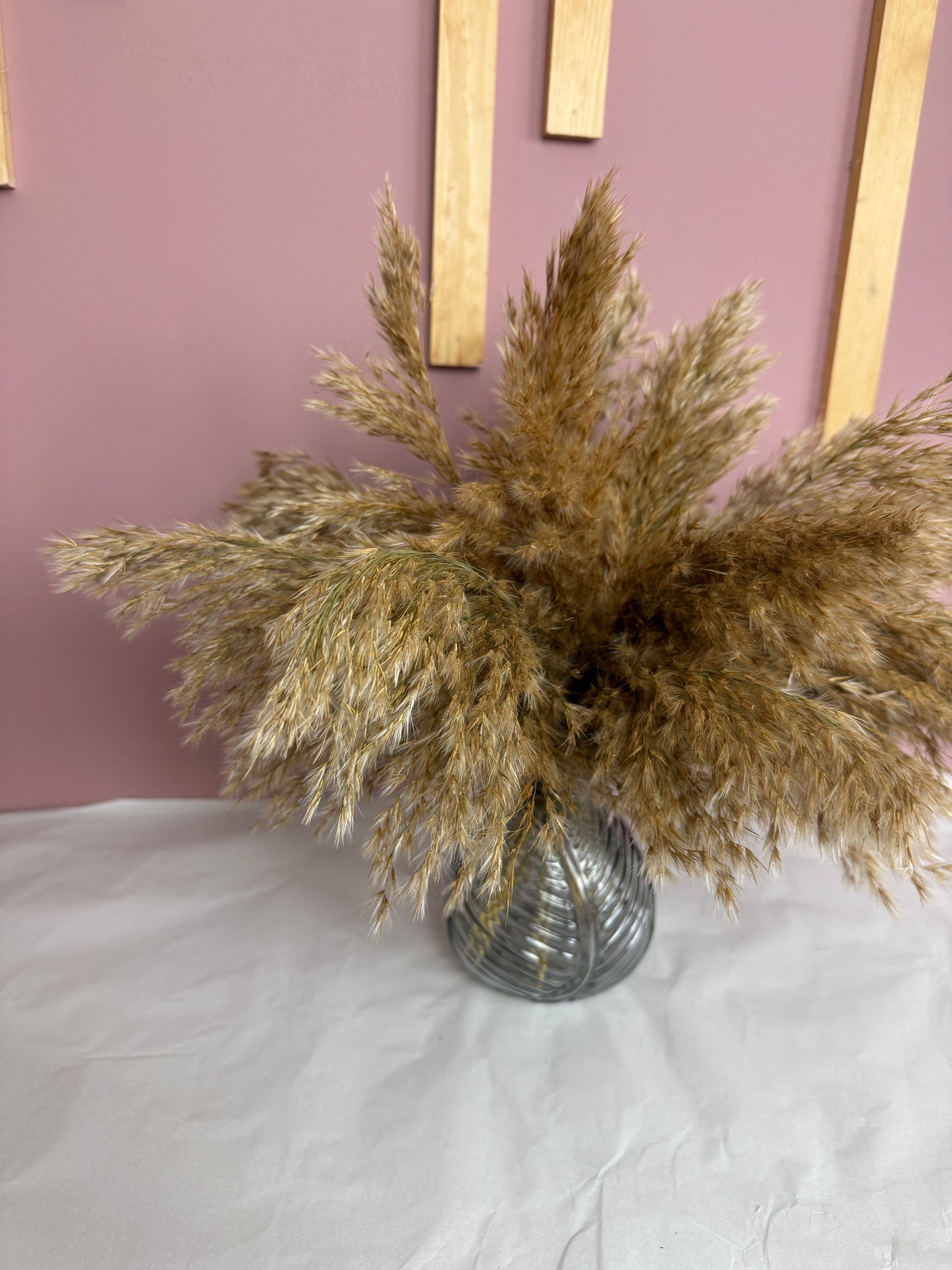 Fluffy Pampas Reed & Vase