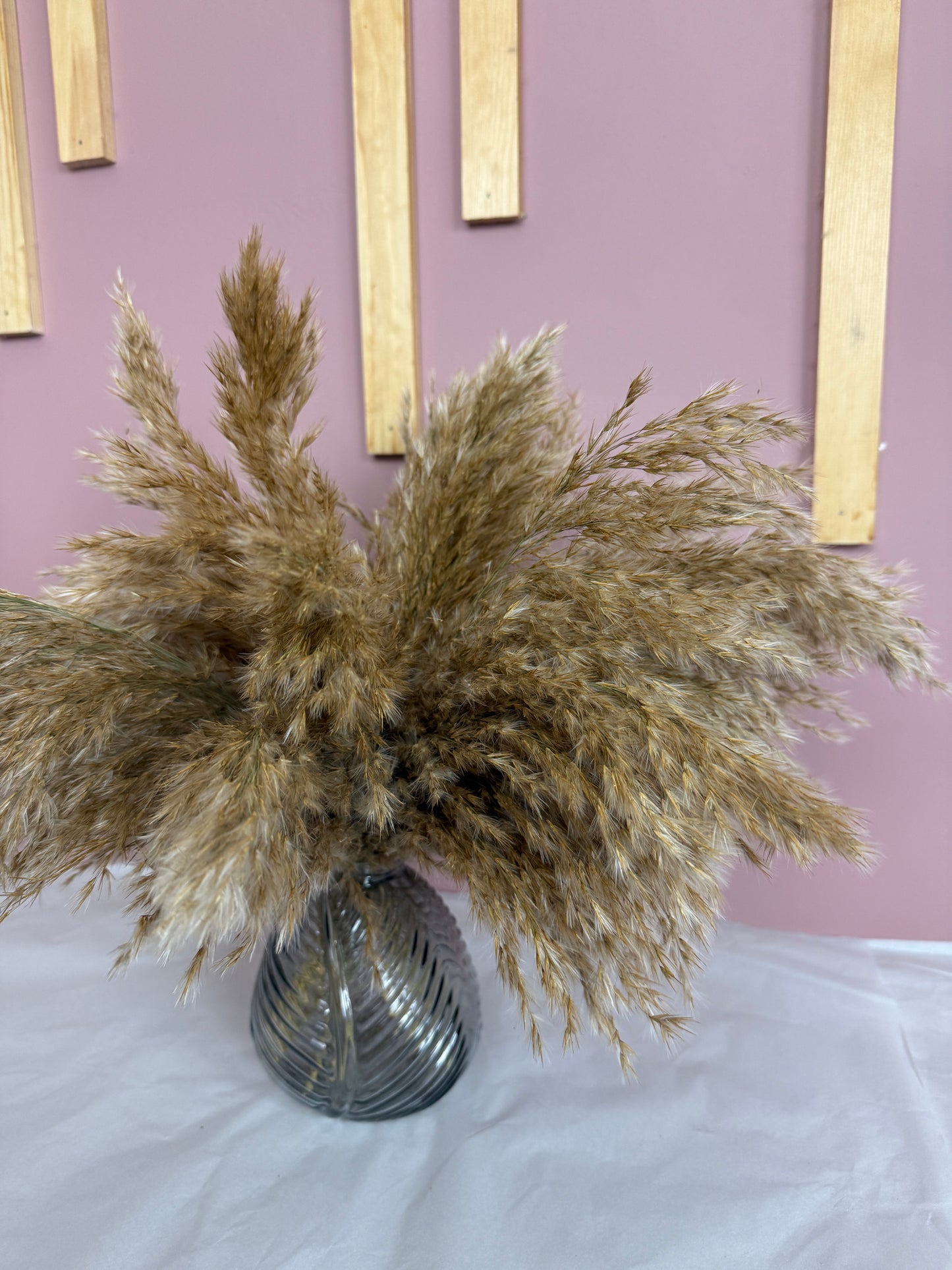 Fluffy Pampas Reed & Vase