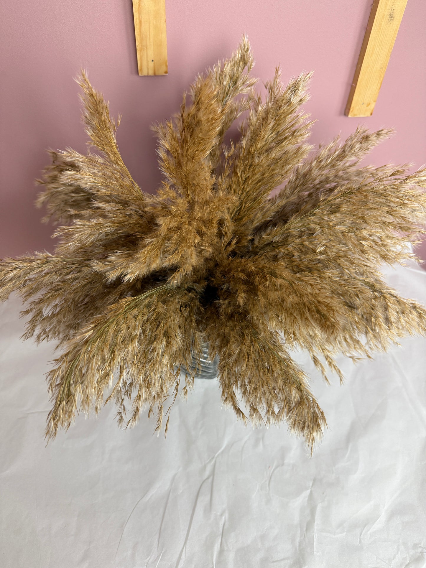 Fluffy Pampas Reed & Vase