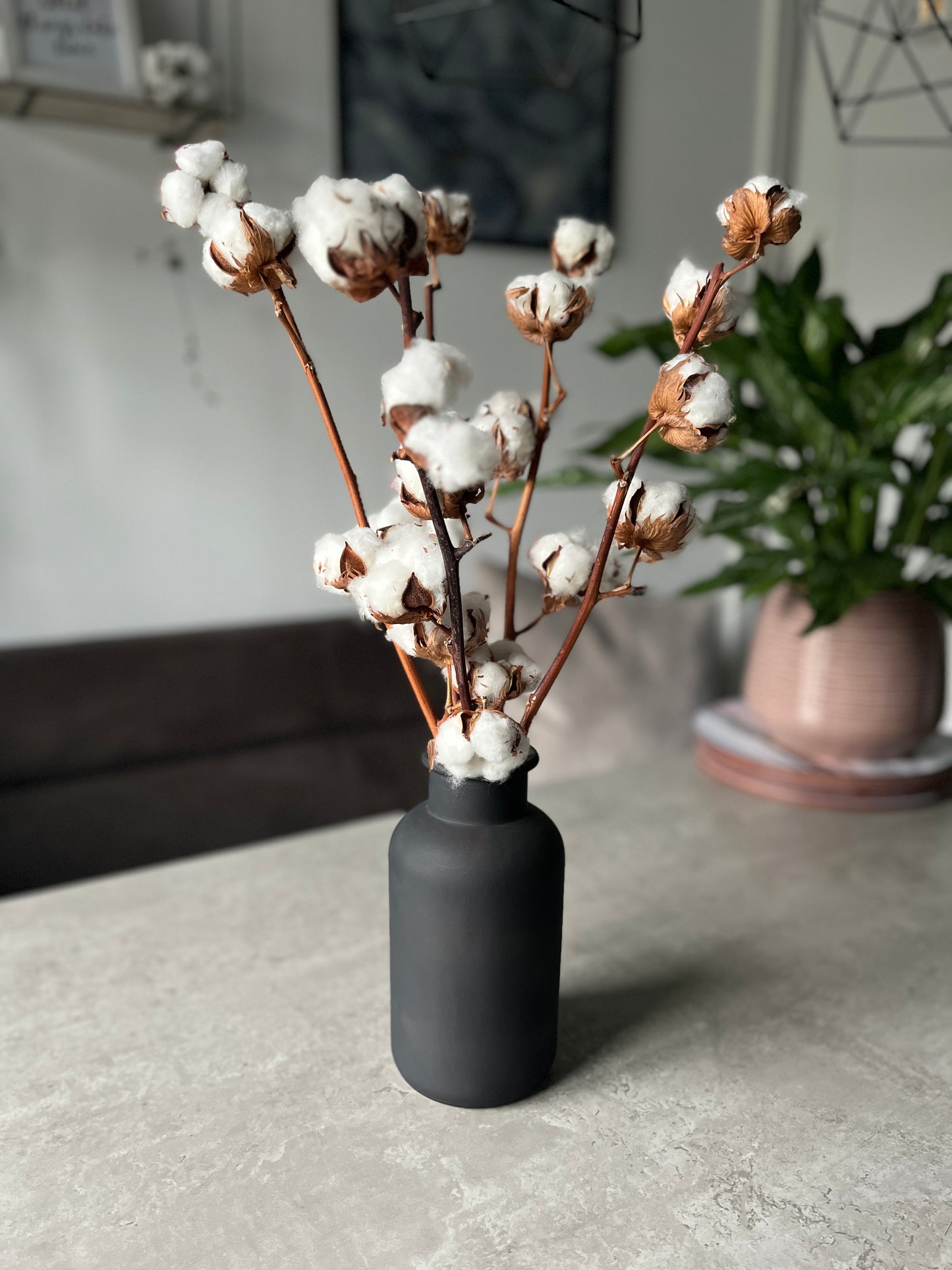 Cotton Stems With Matt Black Vase