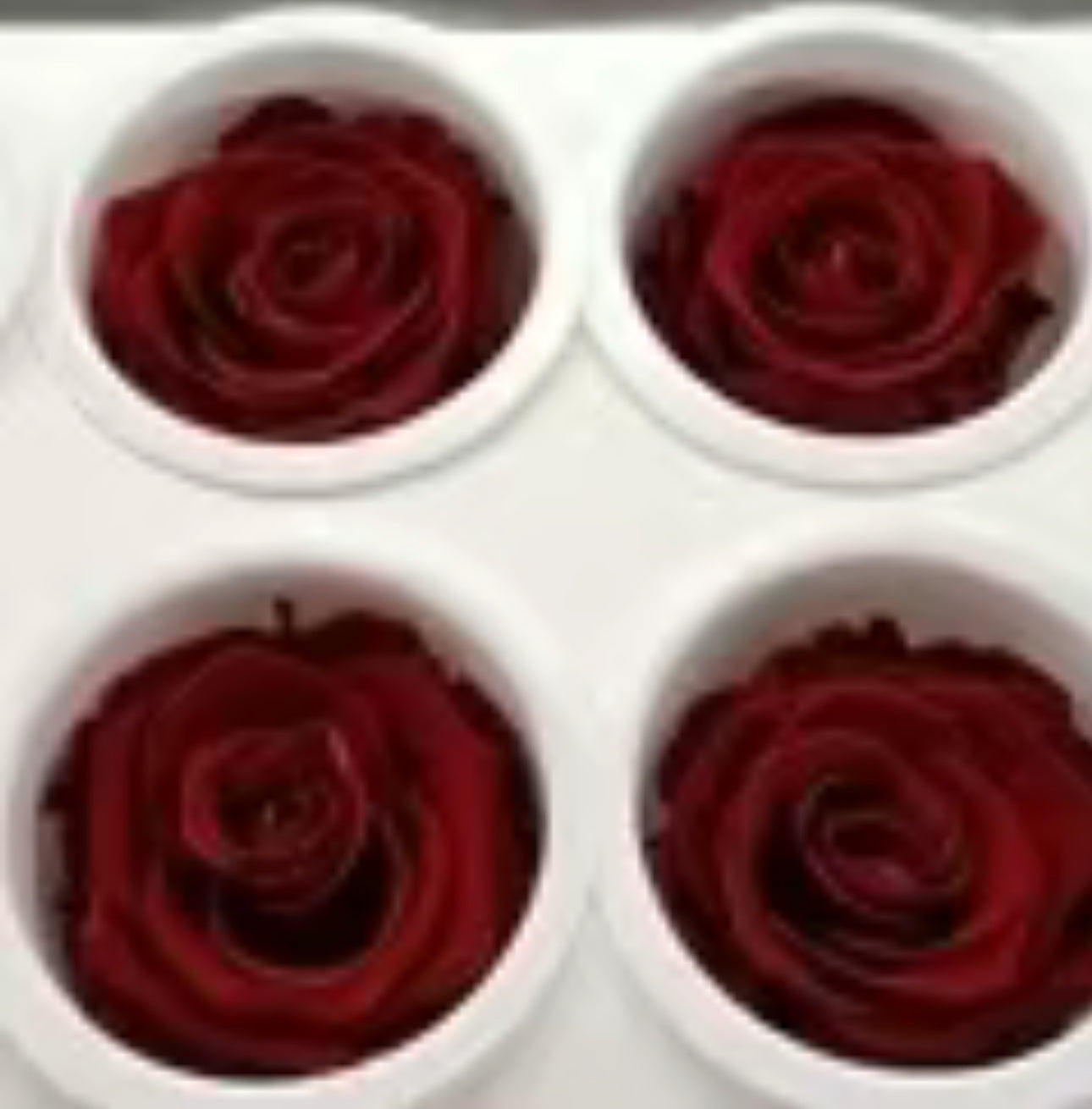 The Dried Rose Collection