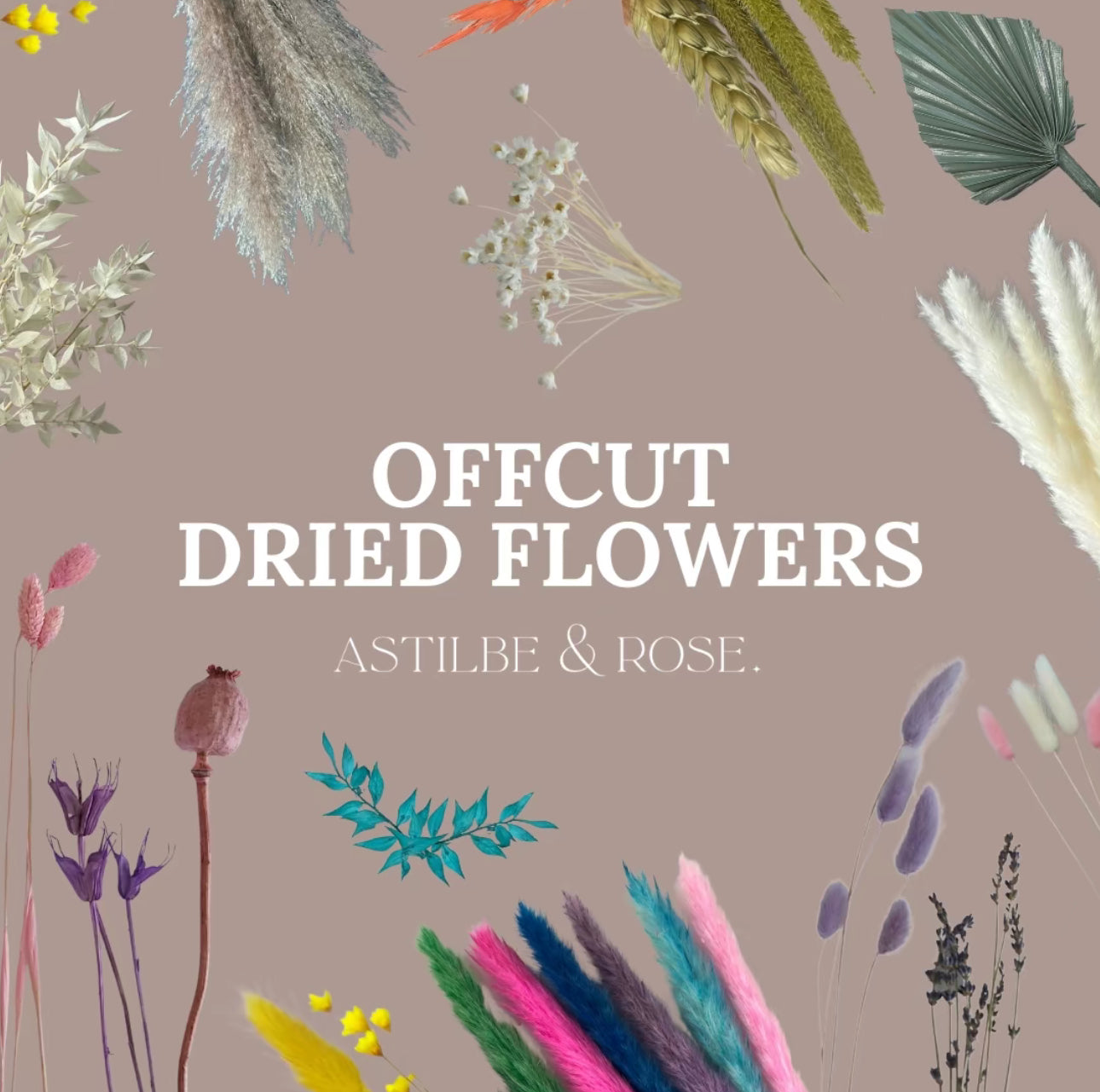 Graphic advertising offcut dried flowers