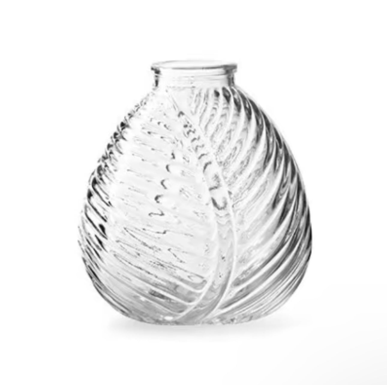 Clear glass leaf vase on a white background