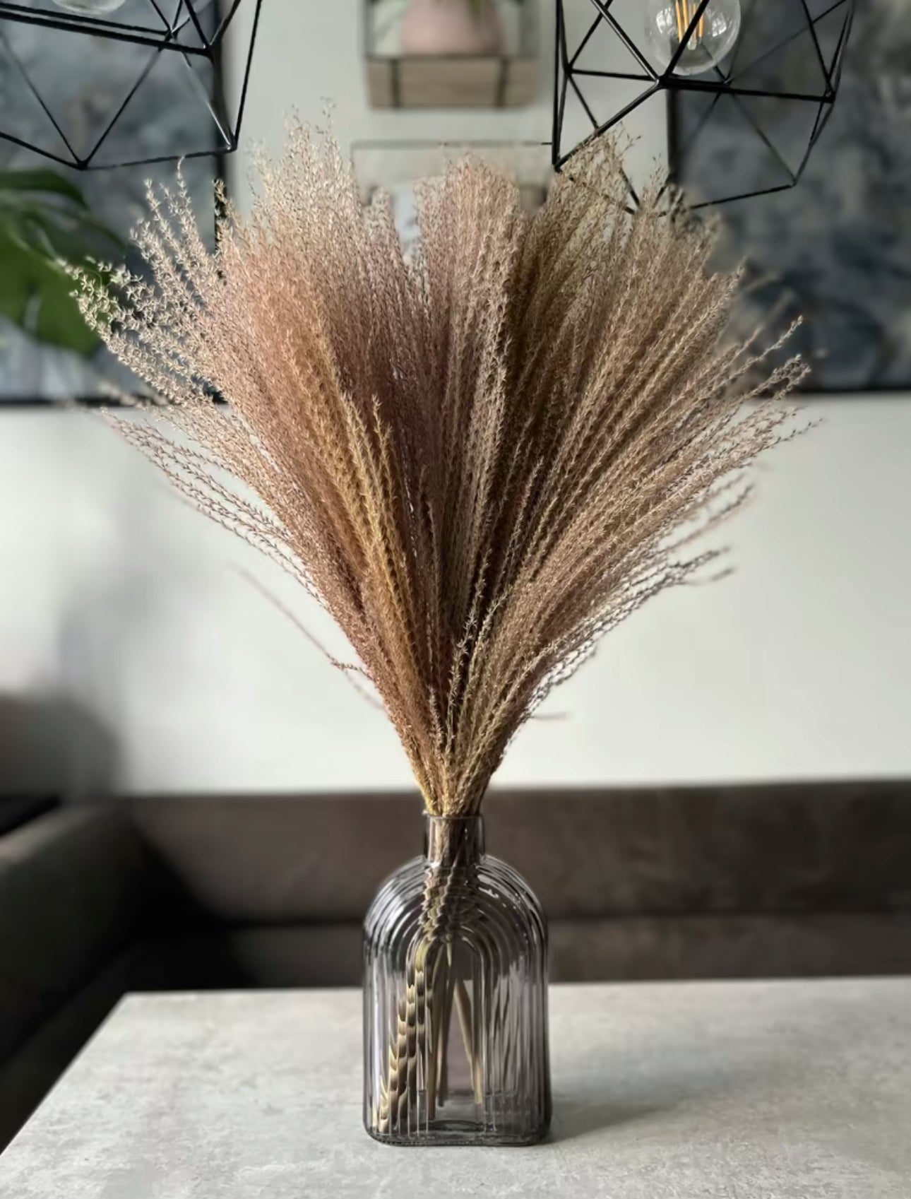 Fluffy Dried Stipa - dried flowers, natural dried flowers