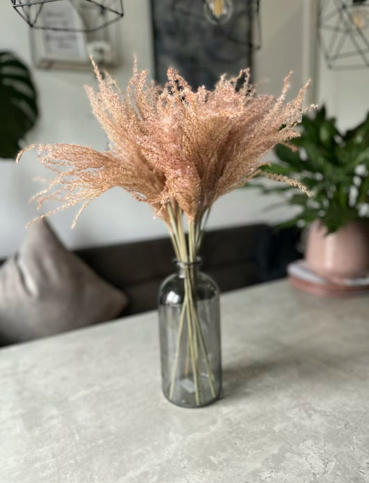 Fluffy Stipa Stems - light pink and natural dried flowers