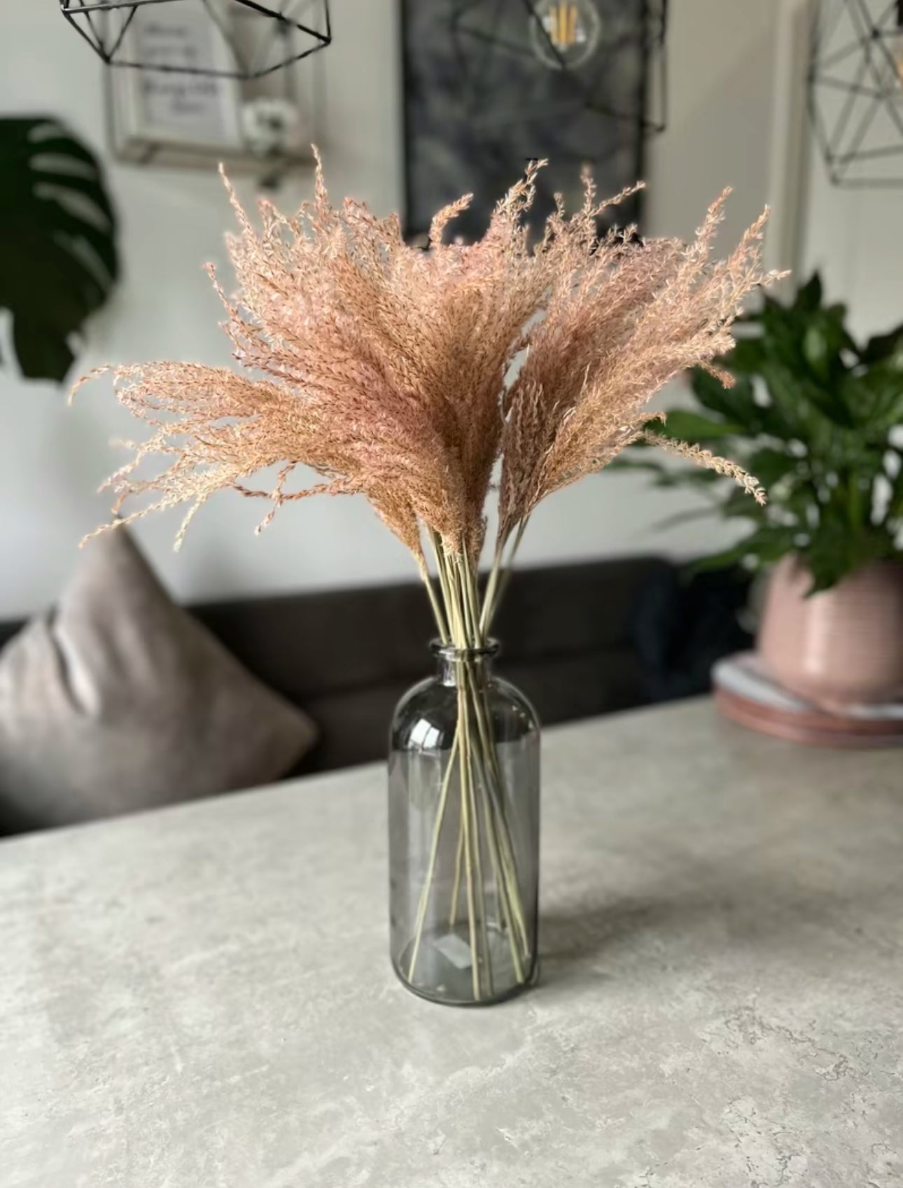 Fluffy Stipa Stems - light pink and natural dried flowers