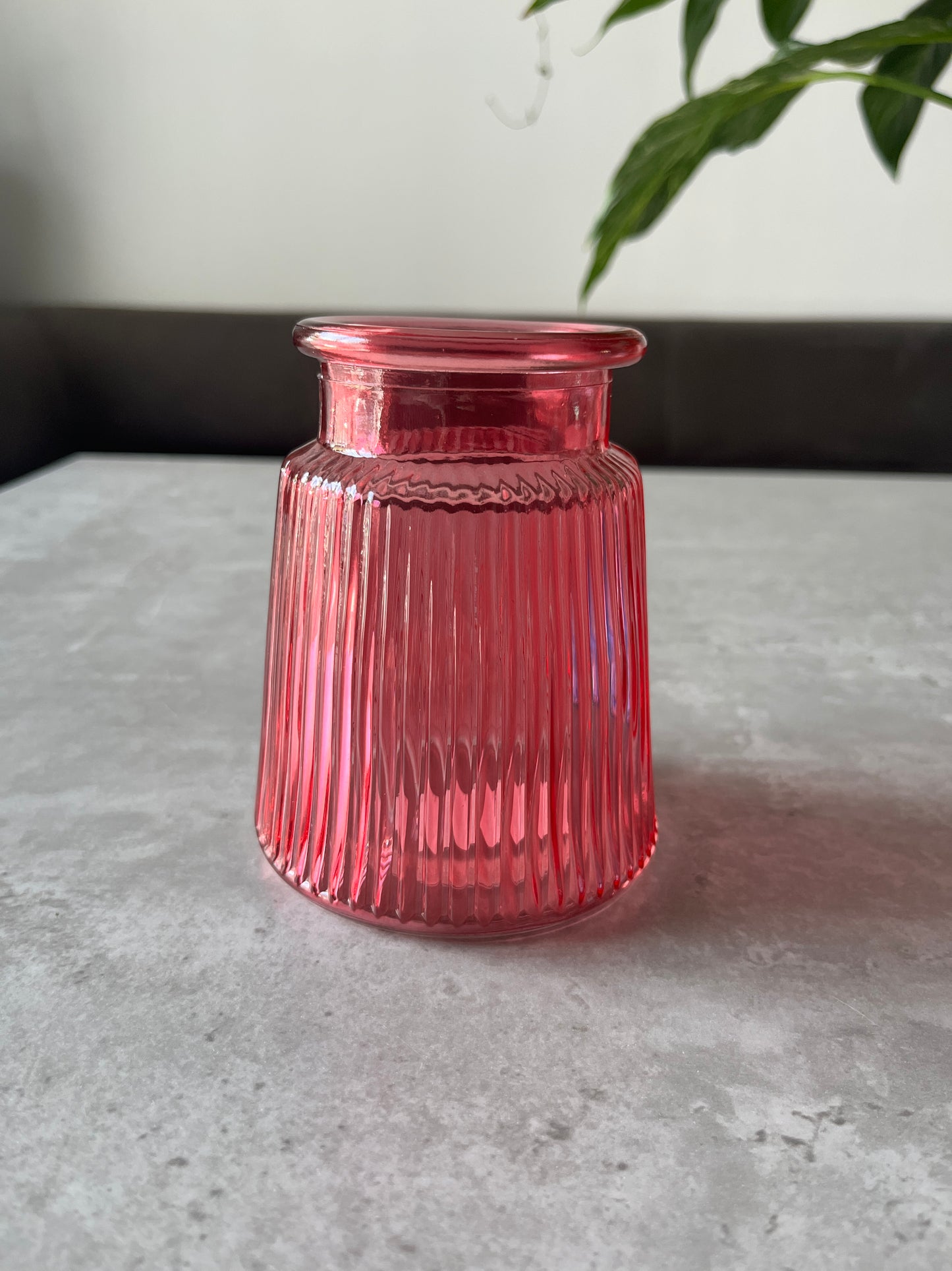 12cm Oscar Vases - glass vases for dried flowers