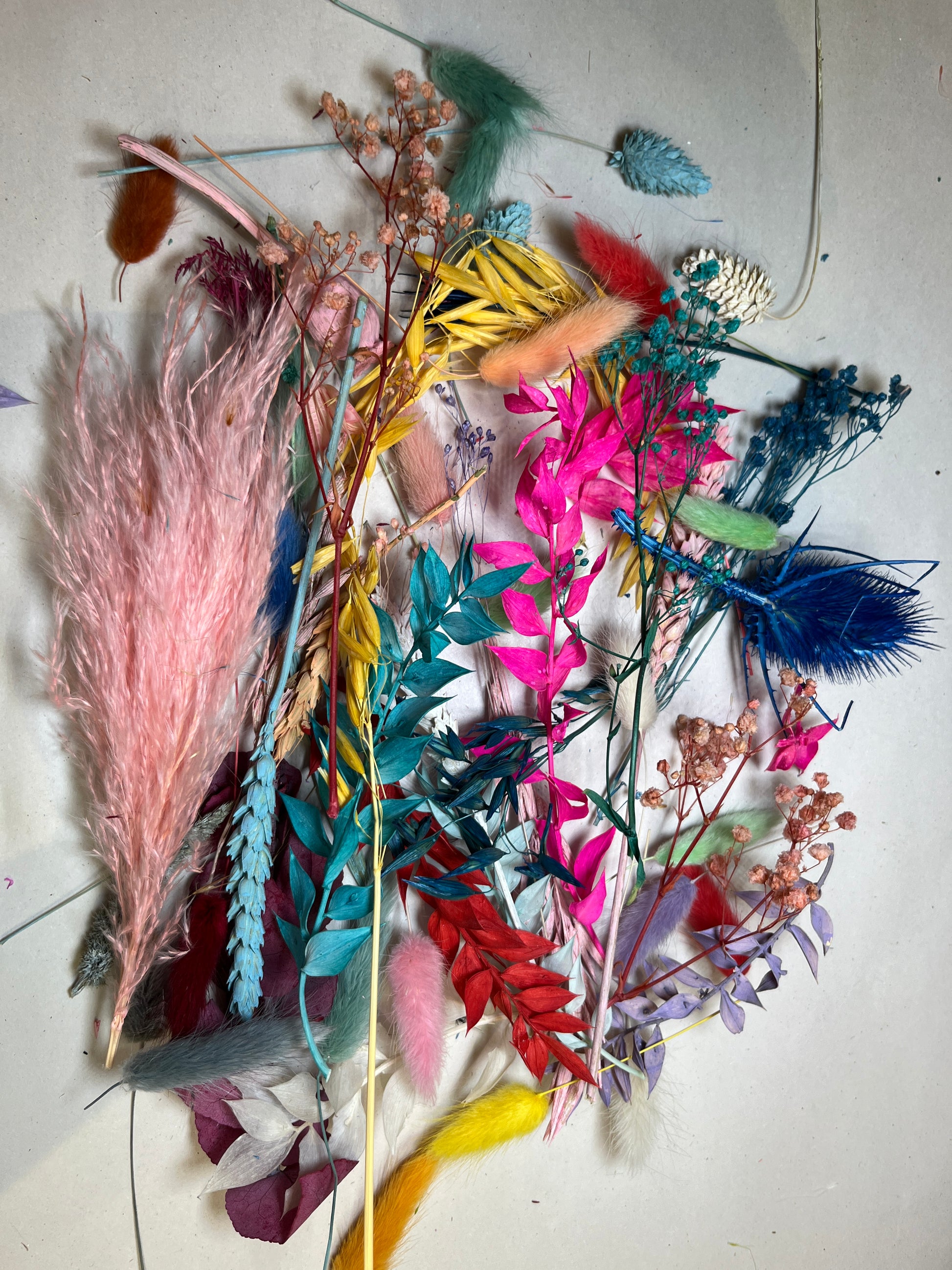 Multicoloured dried flowers on white tissue paper