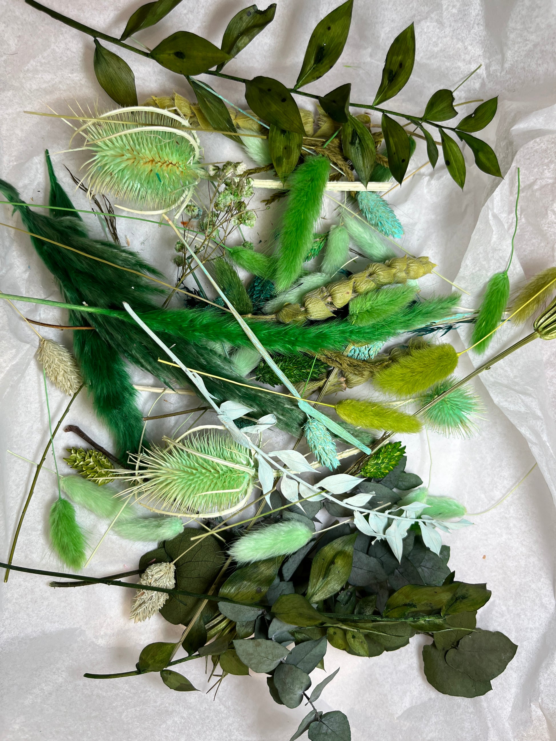 Green dried flowers on white tissue paper