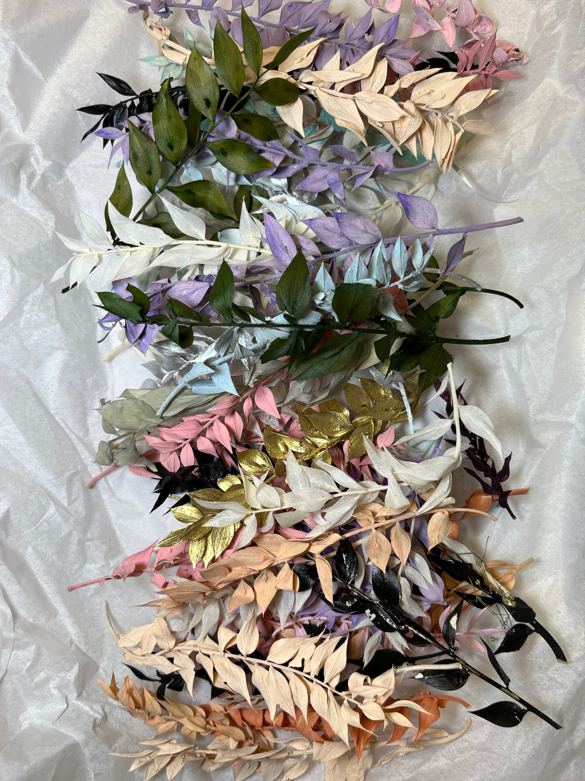 Multicoloured dried flowers on white tissue paper