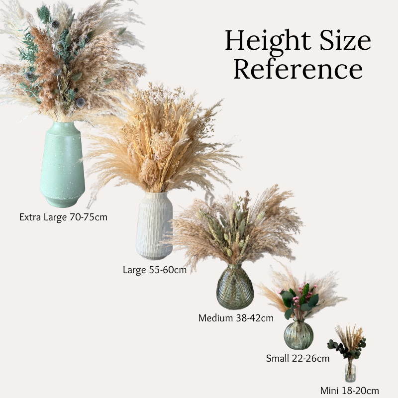 dried flower height size reference photo